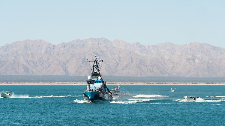 Die Boote und Aktivisten von Sea Sheperd wurden bereits wiederholt bei Patrouillen in dem Meeresschutzgebiet attackiert.