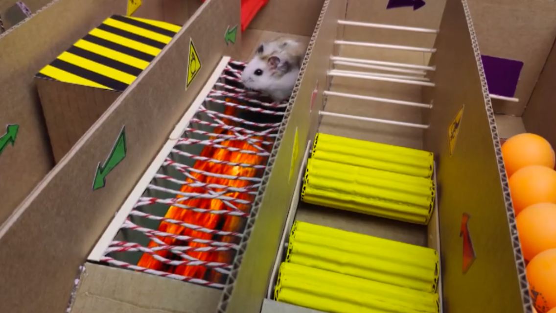 hamster.PNG