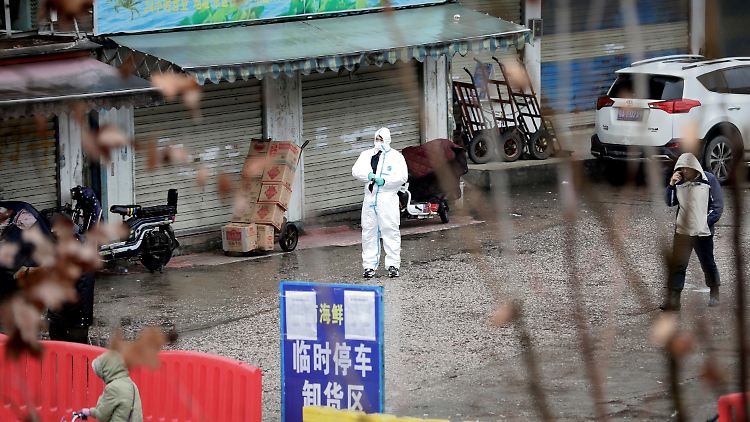 Die WHO-Experten wollen auch auf dem Markt in Wuhan nach bisher nicht gesicherten Spuren suchen.