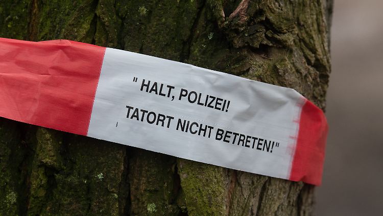 Die ersten Leichenteile wurden in einem Waldstück in Berlin-Pankow entdeckt.