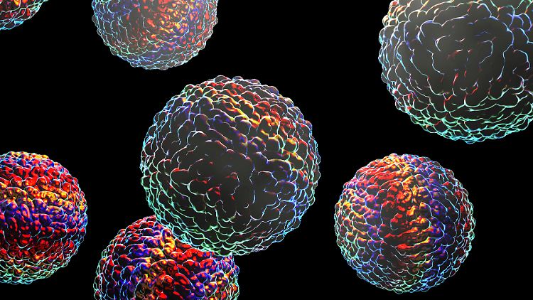 Die Illustration zeigt ein Zika-Virus. Eine Infektion damit kann später ebenfalls zum GBS führen. 