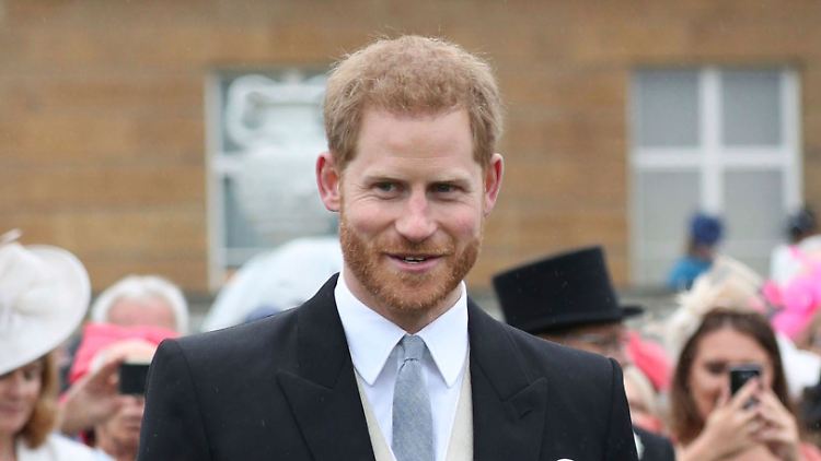 Auch ein ehemaliger Prinz darf seine Oma in Zeiten wie diesen nicht einfach so besuchen. Prinz Harry wird den Besuch bei der Queen wegen Corona wohl verschieben müssen.