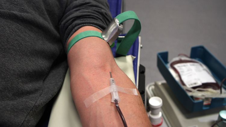 Für die Studie war den Probanden in bestimmten Abständen immer wieder Blut abgenommen worden.