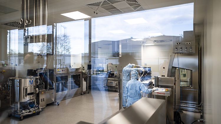 Mit Biontech, Curevac und IDT Biologika entwickeln drei deutsche Unternehmen aussichtsreiche Impfstoffe.