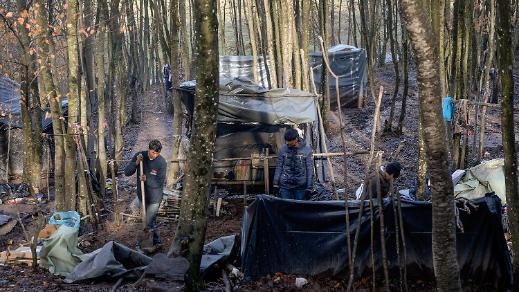 Geflüchtete bauen sich provisorische Unterkünfte in einem Wald nahe des abgebrannten Flüchtlingslagers Lipa.