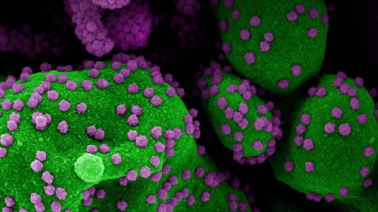Die Coronavirus-Mutation "B1.1.7." trat das erste Mal in Großbritannien auf.