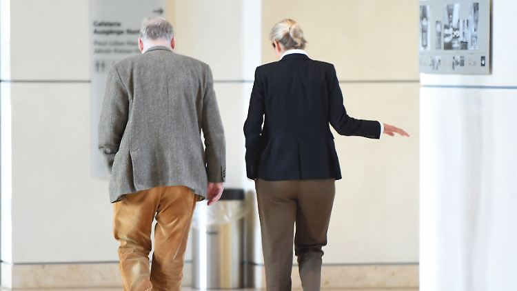 Ist die AfD im Corona-Jahr entzaubert worden?