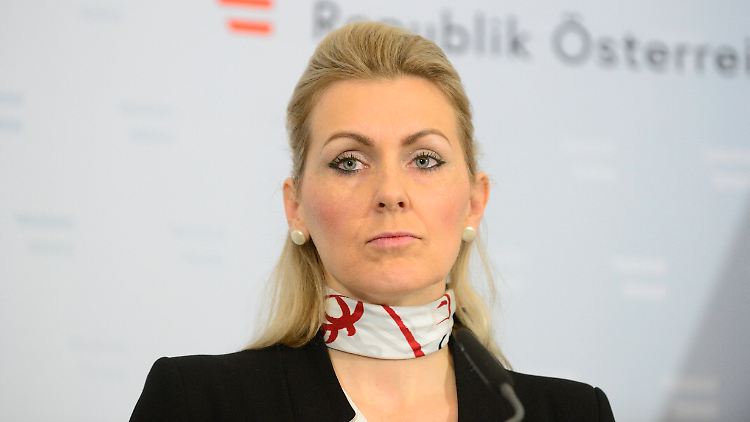 "Annahmen sind wie Seepocken", schrieb Österreichs Ex-Arbeitsministerin Christine Aschbacher in ihrer Doktorarbeit.