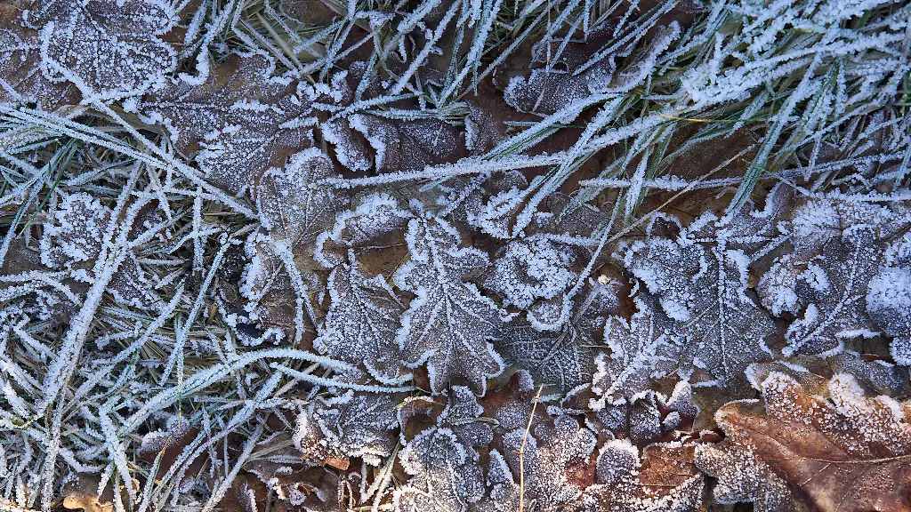 In-den-naechsten-Tagen-bleibt-es-kuehl-und-ungemuetlich-oertlich-ist-mit-Schnee-oder-Schneeregen-zu-rechnen