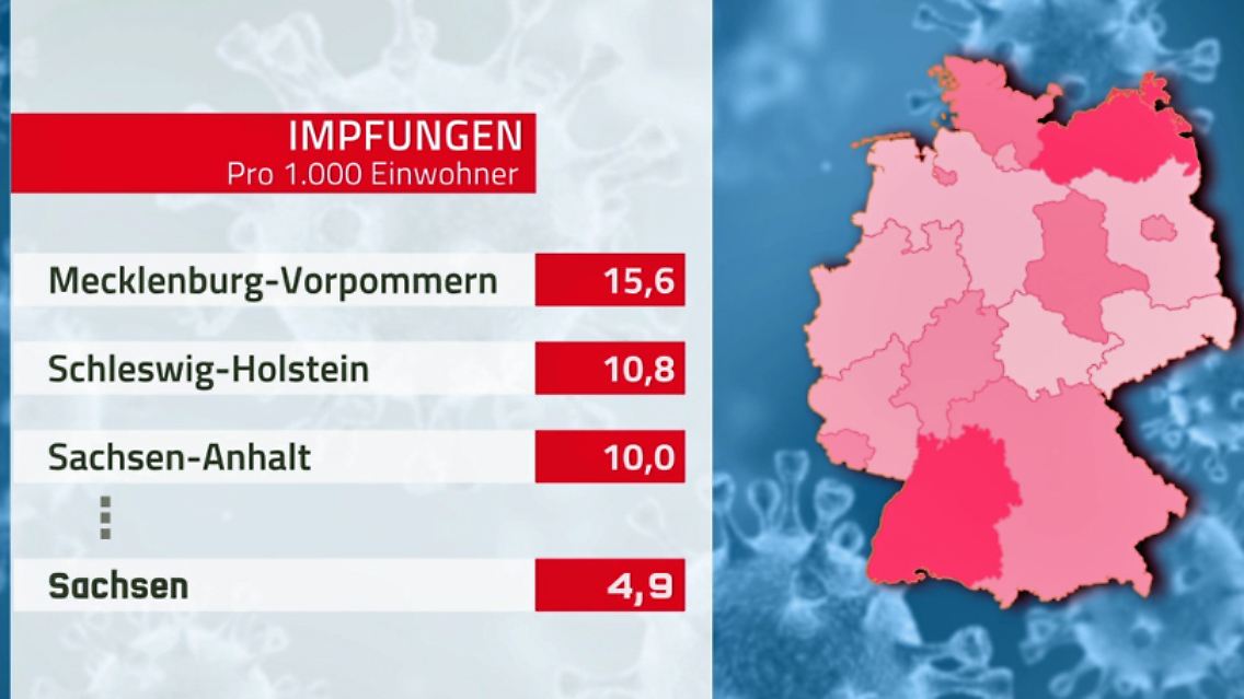 impf-musterschüler.jpg