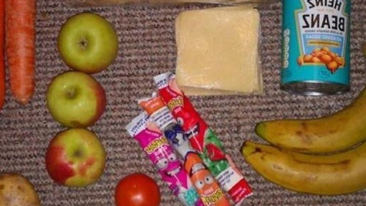 Soll ein Kind für eine Woche ausgewogen ernähren - das Lebensmittelpaket von Chartwells.