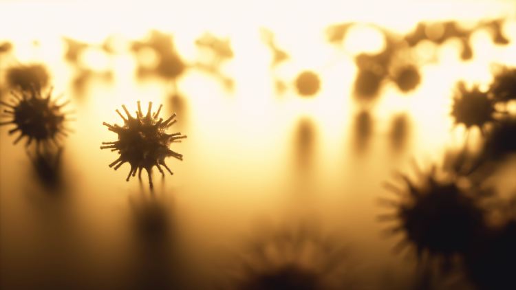 Womöglich ist die neue Variante in immungeschwächten Patienten entstanden.