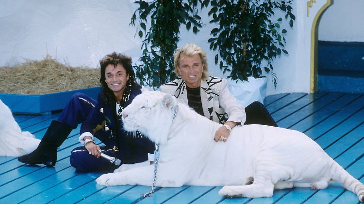 Siegfried & Roy: Zwei Weltstars mit weißem Tiger 1991.