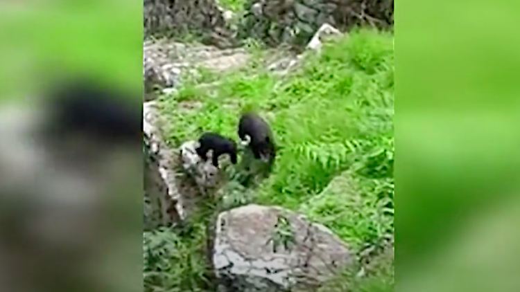 Bildschirmfoto 2021-01-15 um 10.29.28.png