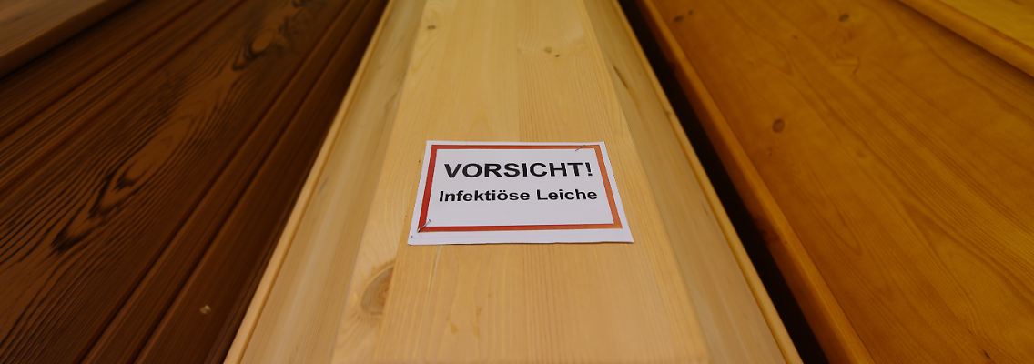 228896349.jpg
