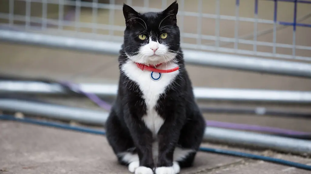 a0b28e07d3a109c7eb5b5bf4f14dee3b