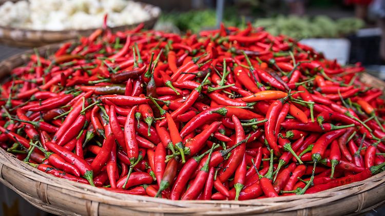 Der Chili-Scharfmacher Capsaicin macht Perowskit-Solarzellen wirksamer.