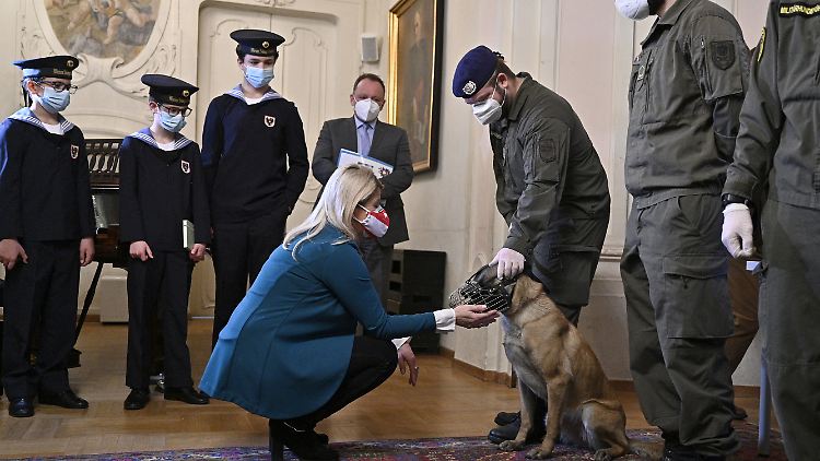 Die Aktion ist Teil der Ausbildung von Hunden des österreichischen Heeres, die Infektionen künftig mit ihrer feinen Nase aufspüren sollen.