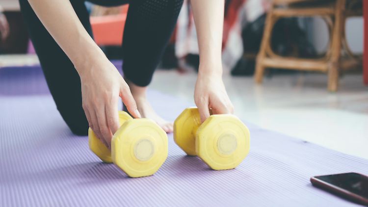 Ohne Hanteln geht im Home Gym nichts.