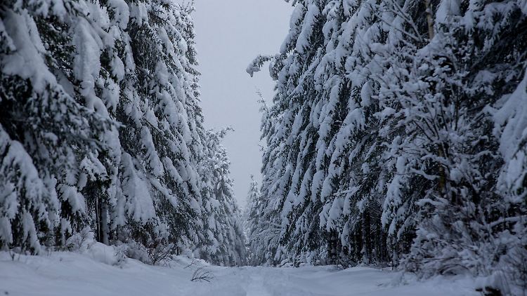 Im Winterurlaub infiziert: Reiserückkehrerin bringt Coronavirus-Mutation mit nach Hause.