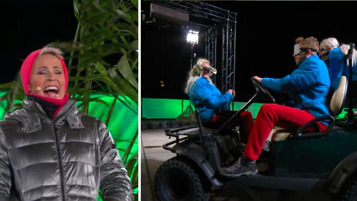IBES Collage.JPG
