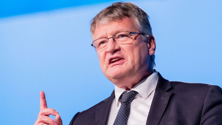Meuthen sieht die AfD auf dem Boden des Grundgesetzes.