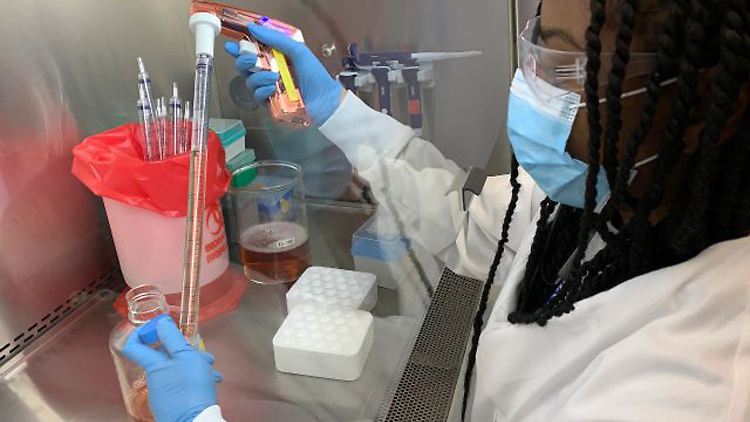 Eine Mitarbeiterin der US-Firma Regeneron im Labor für Infektionskrankheiten.