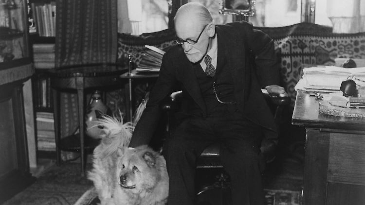 Sigmund Freud 1937 mit seinem geliebten Hund im Arbeitszimmer. 