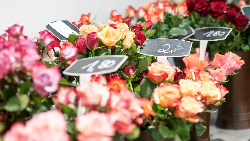 fce405ff69b14f07b597372aa2a3c8bf