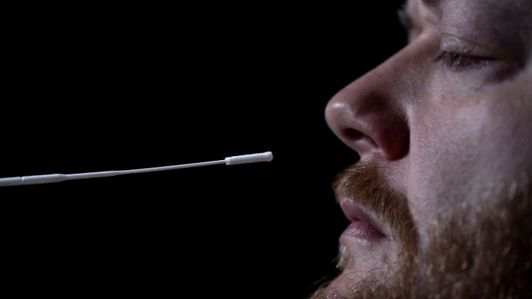 Die am häufigsten verwendeten PCR-Tests lassen sich nicht in die Irre führen.
