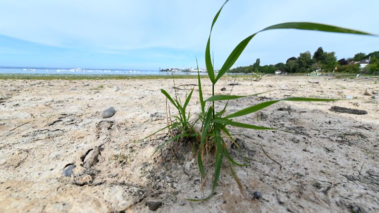 Wird das Wasser knapp, treten Landwirtschaft und Trinkwasserversorgung in Konkurrenz.
