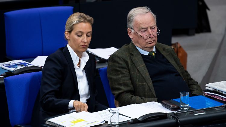 Die aktuelle Fraktionsspitze: Alice Weidel und Alexander Gauland. 