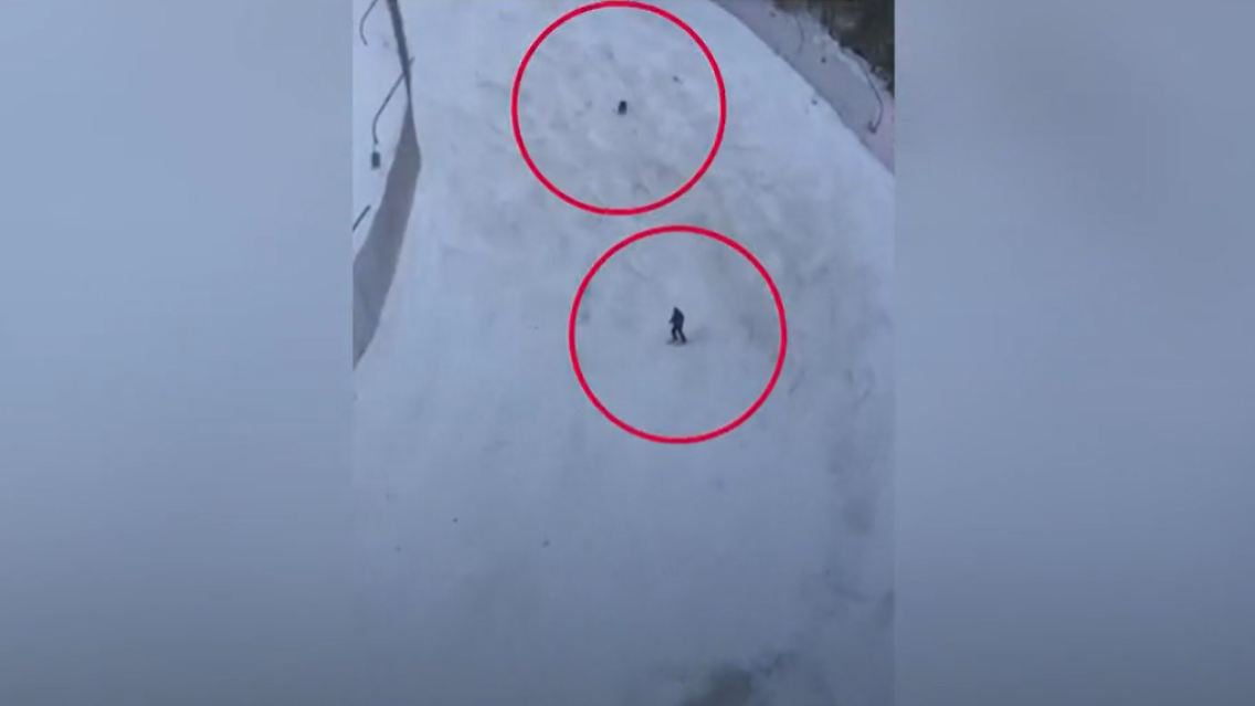 BraunbärSki.PNG