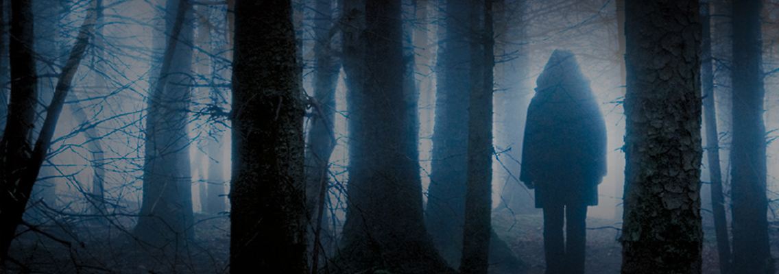 Cover_So dunkel der Wald.jpg