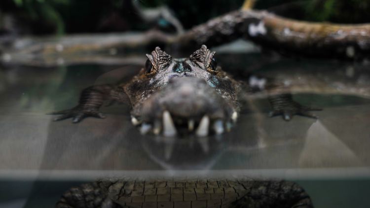 In Paraguay hatte es in der vergangenen Woche heftige Regenfälle gegeben.