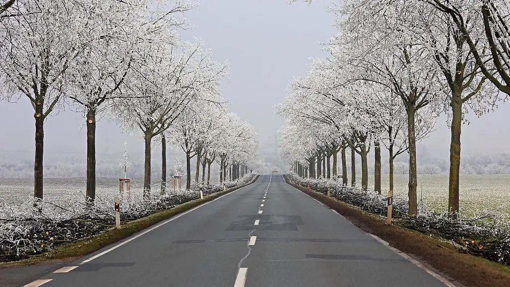 In-den-naechsten-Tagen-ist-Vorsicht-auf-den-Strassen-Sachsen-Anhalts-geboten