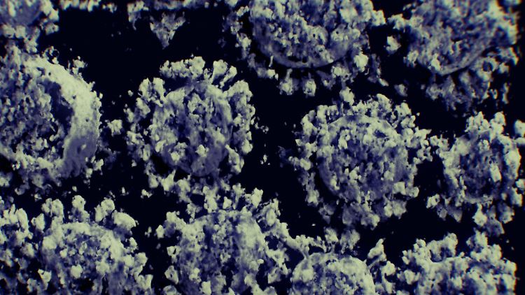 Die allermeisten Erbgut-Veränderungen haben keinen Effekt oder sind von Nachteil für ein Virus. Einige helfen ihm aber auch. 