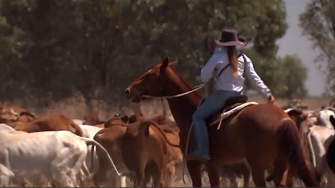 australien.PNG