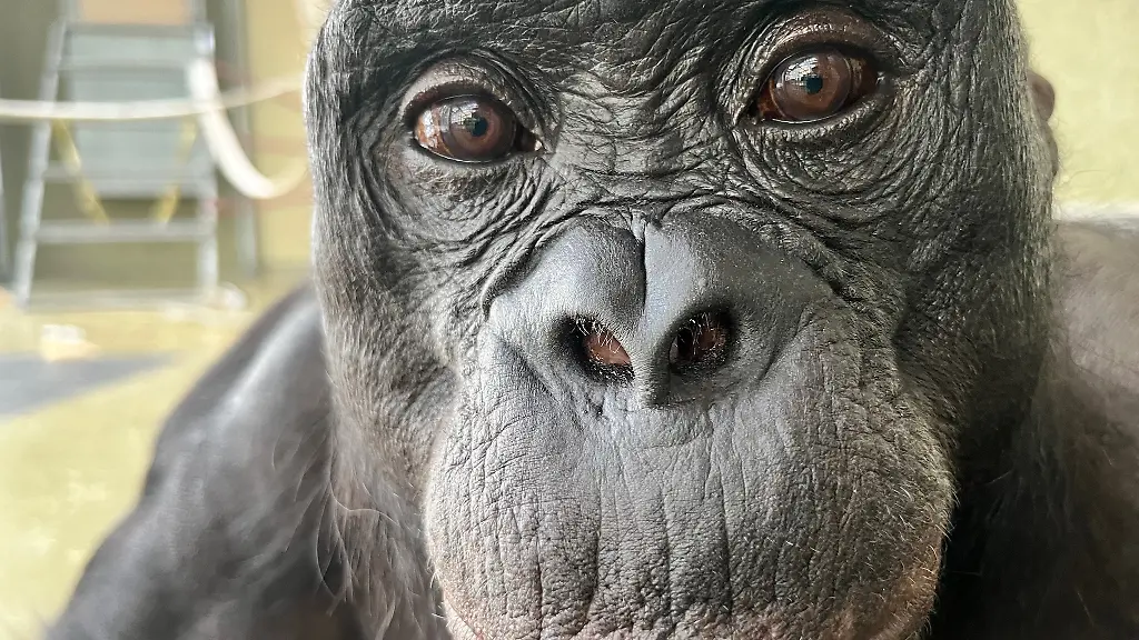 ACHTUNG-Frei-nur-im-Zusammenhang-mit-der-Berichterstattung-ueber-die-Studie