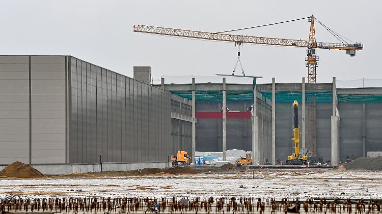 In Grünheide baut Tesla derzeit sein erstes europäisches Werk - dazu soll auch eine Batteriefabrik gehören.