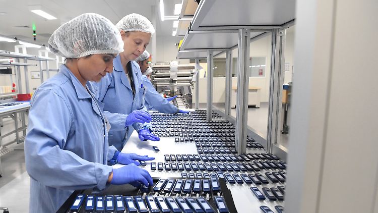 Die Labore haben nach Zehntausenden Testungen einen ersten Überblick über die Ausbreitung von Corona-Varianten.
