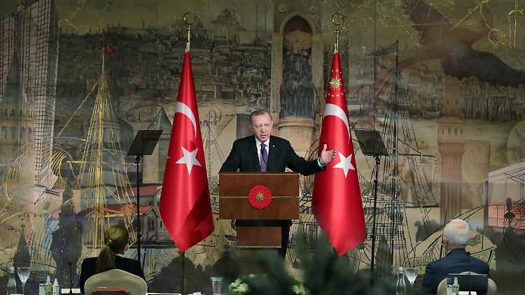 Recep Tayyip Erdogan attackierte die jugendlichen Protestler, die gegen einen vom ihm eingesetzten Uni-Direktor demonstrierten.