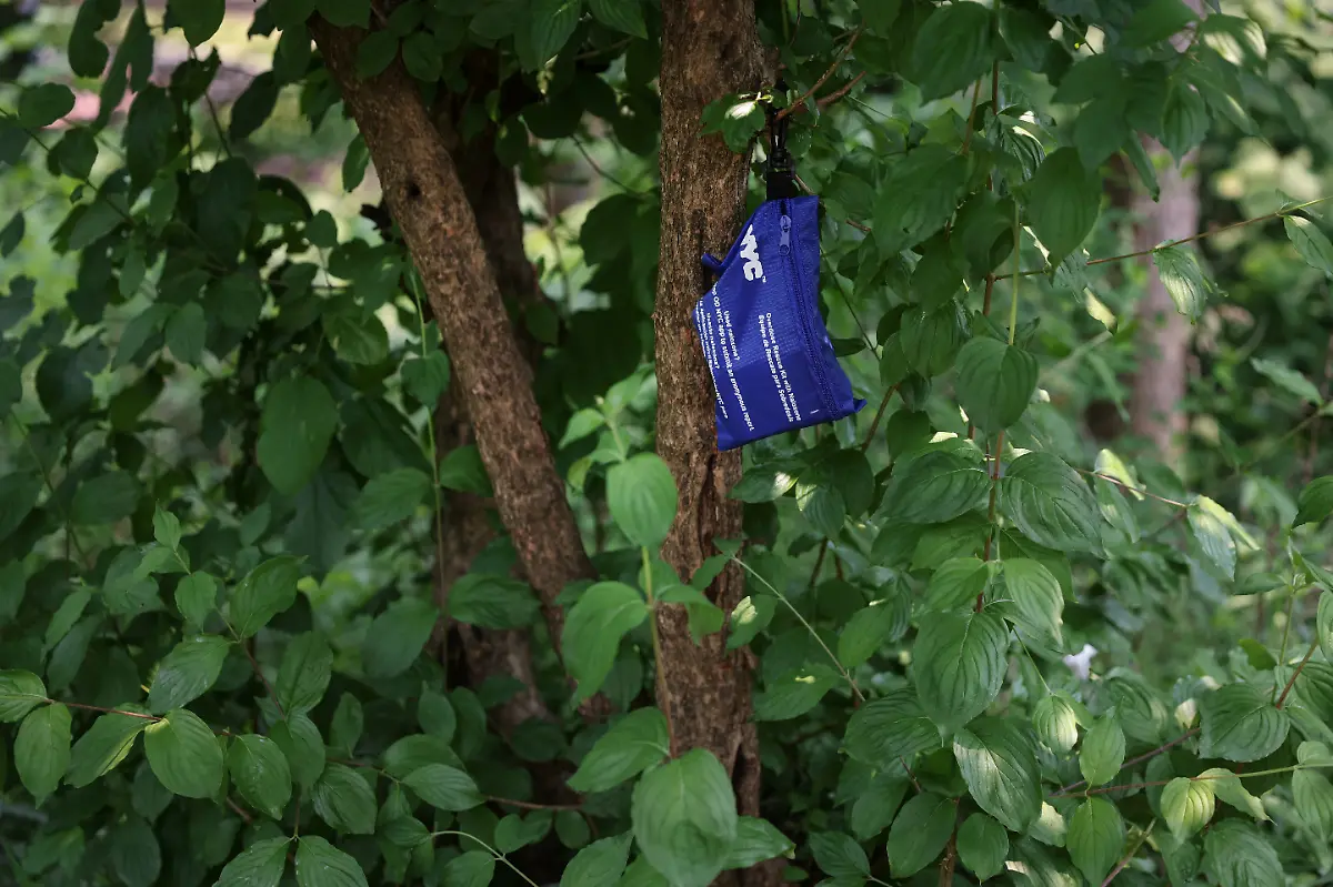 2024-12-21T105402Z-742192656-RC2UD1AFZA7C-RTRMADP-3-FENTANYL-OHIO