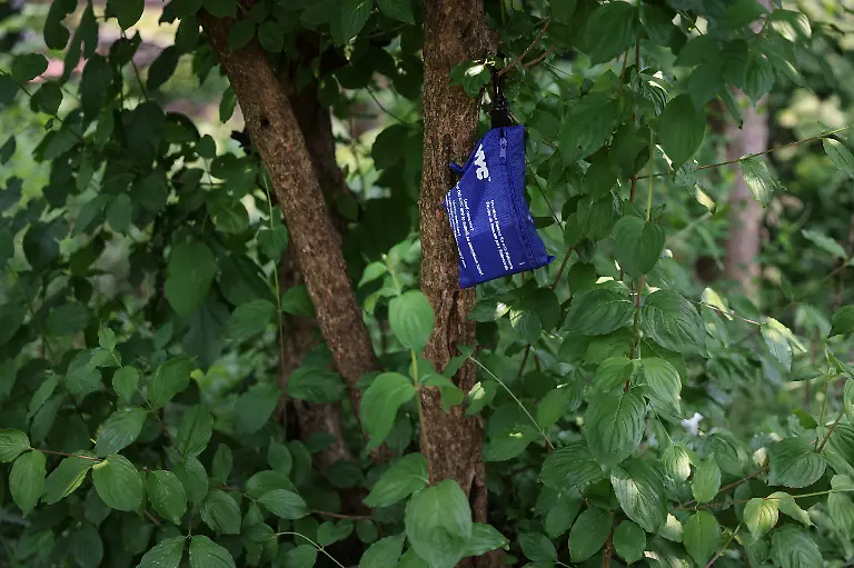 2024-12-21T105402Z-742192656-RC2UD1AFZA7C-RTRMADP-3-FENTANYL-OHIO