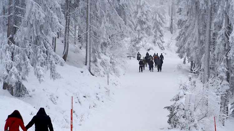 Zehn Haushalte sollen an der gemeinsamen Wanderung teilgenommen haben (Symbolbild). 