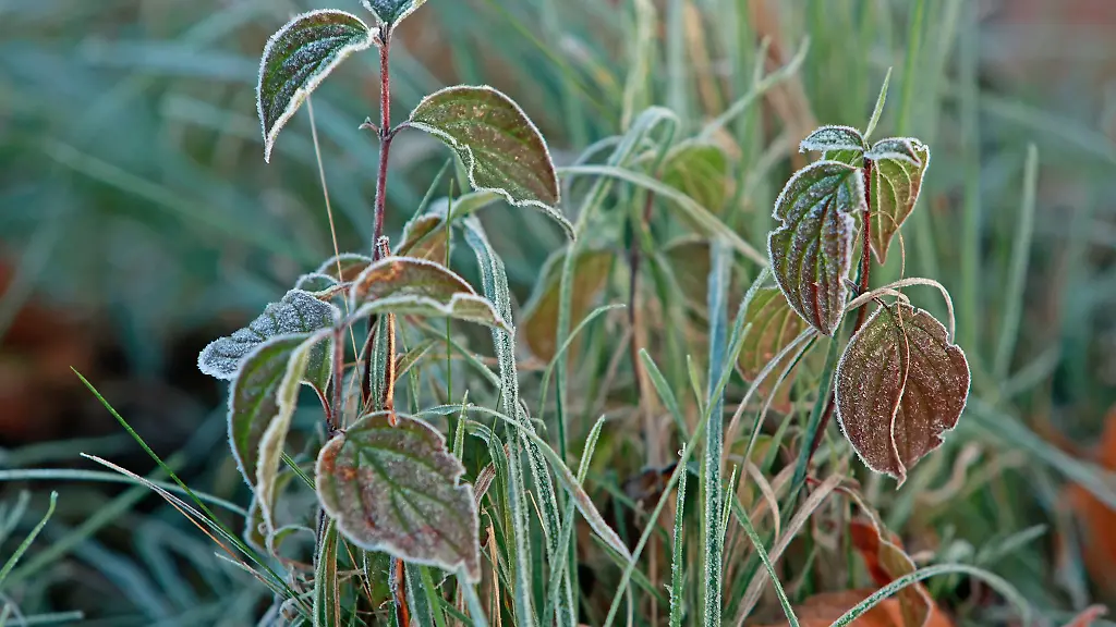 Das-Wetter-wird-diese-Woche-sonnig-aber-frostig-in-Sachsen-Anhalt