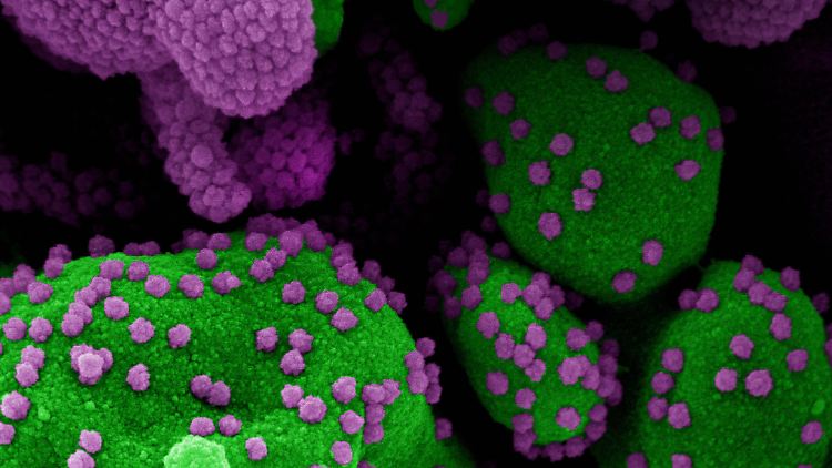 Bis Mai will die Regierung in London allen über 50-Jährigen in dem Land ein Impfangebot machen.