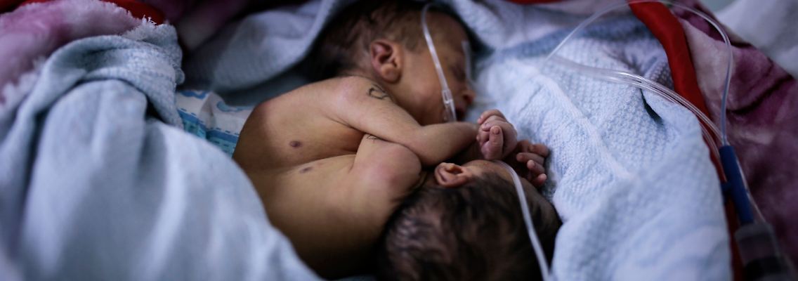 Die zwei kleinen Jungs sind gerade einmal anderthalb Monate alt.