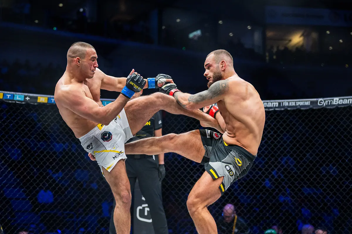 20250201201212-PD1683316833