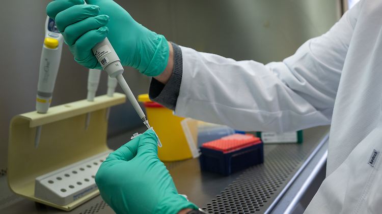 Laboranalysen ergaben in den vergangenen 24 Stunden weitere 4535 Neuinfektionen.